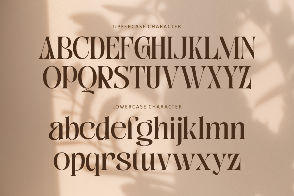 Bitho Luxury - Modern Logo Font - Image 7