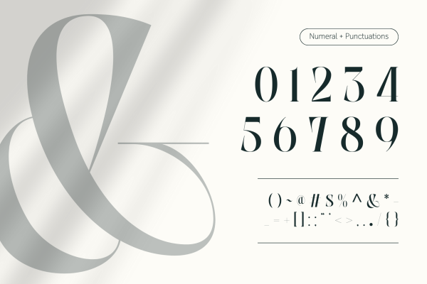 Abogia - Branding Logo Font - Image 8
