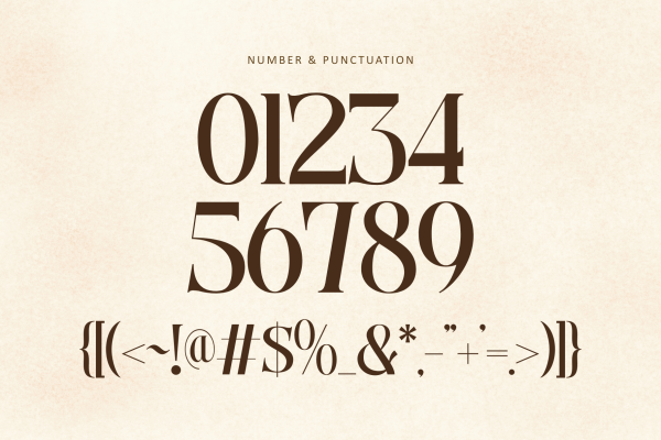 Bitho Luxury - Modern Logo Font - Image 8
