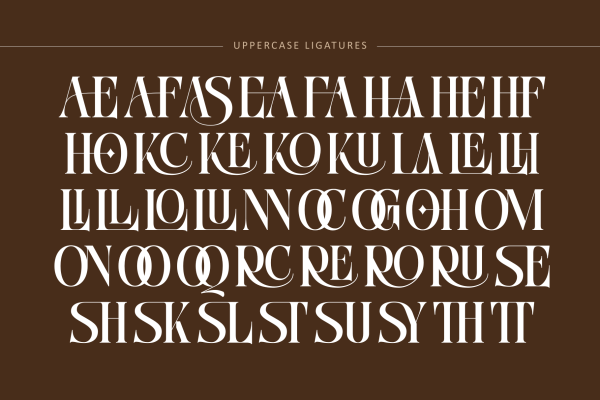Bitho Luxury - Modern Logo Font - Image 9