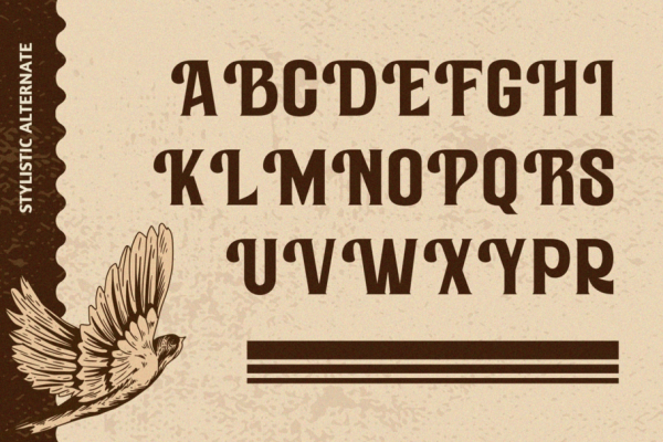 Rustic Vintage - Branding Logo Font - Image 12