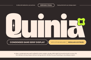 Quinia Retro - Bold Extrude Food Font