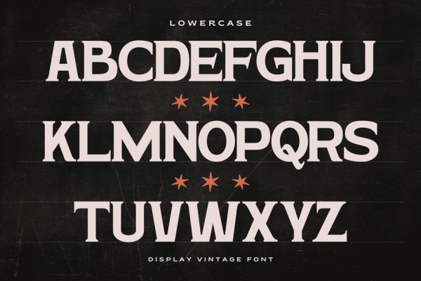 Hardan Vintage - Classic Logo Font - Image 8