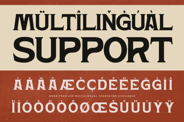Hardan Vintage - Classic Logo Font - Image 9
