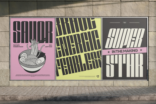 Solene Display - Logo Branding Font - Image 14