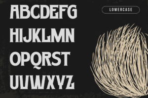 Thumbnail 13