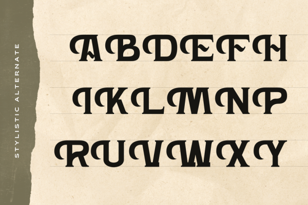 Hardan Vintage - Classic Logo Font - Image 11