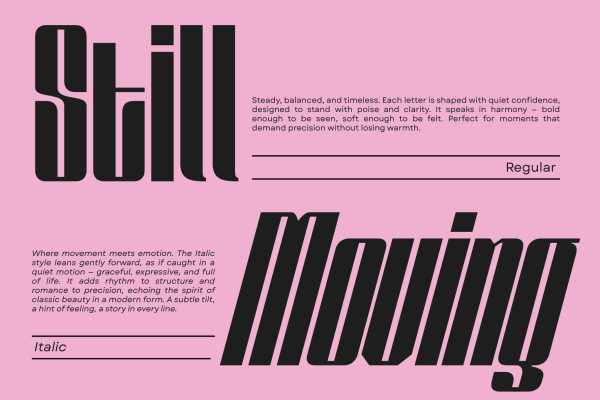 Solene Display - Logo Branding Font - Image 13