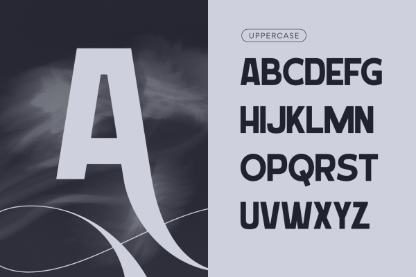 Laren Modern - Branding Logo Font - Image 11