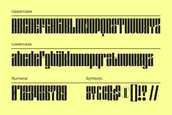 Solene Display - Logo Branding Font - Image 11