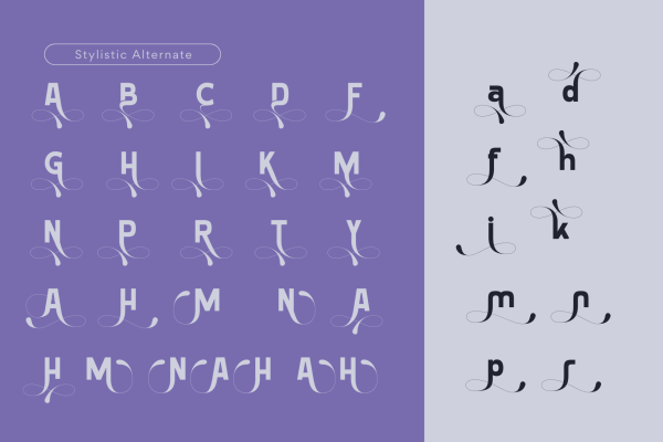 Laren Modern - Branding Logo Font - Image 9