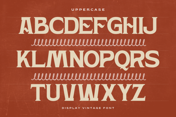 Hardan Vintage - Classic Logo Font - Image 3