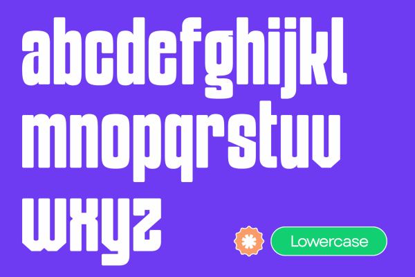 Lova Bold - Branding Logo Font - Image 8