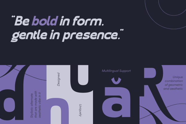 Laren Modern - Branding Logo Font - Image 8