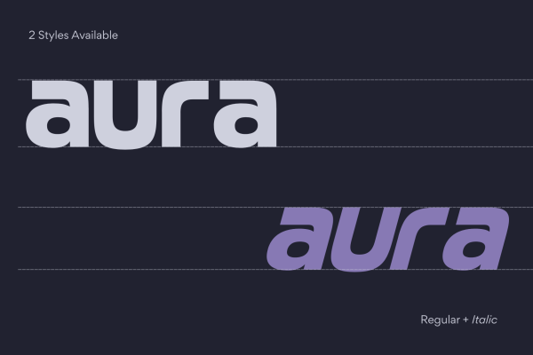 Laren Modern - Branding Logo Font - Image 6