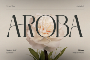 Aroba Modern - Elegant Logo Font