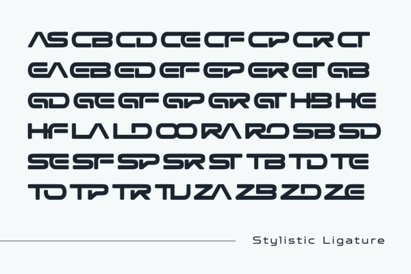 Meicre Sports - Racing Logo Font - Image 13