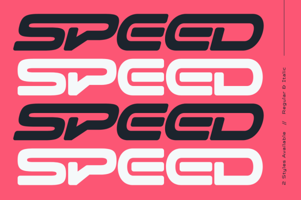 Meicre Sports - Racing Logo Font - Image 14
