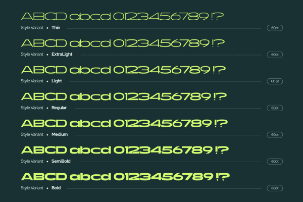 Erune Extended - Family Font - Image 12