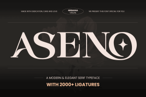 Aseno Modern - Ligatures Font