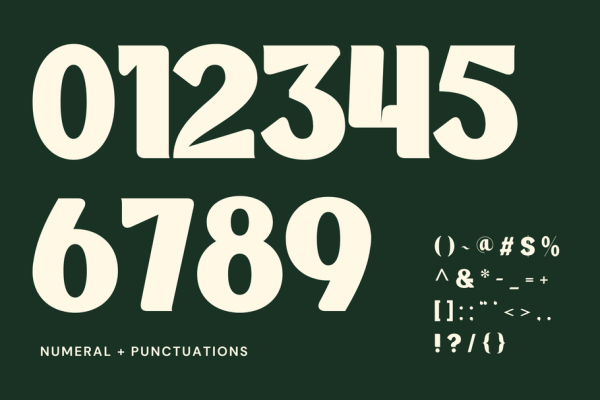 Matzy Food - Branding Logo Font - Image 10
