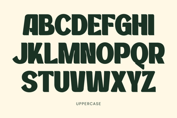 Matzy Food - Branding Logo Font - Image 12
