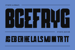 Thumbnail 15