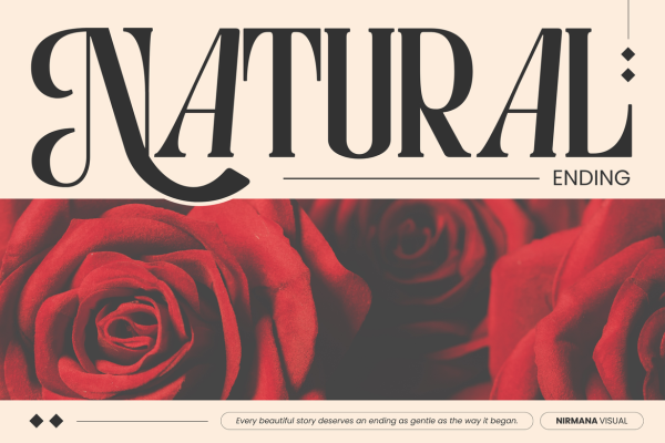 Astella Luxury - Branding Logo Font - Image 2