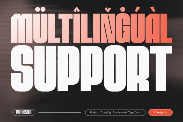 Naman Sports - Family Font - Image 8