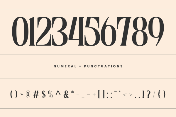 Astella Luxury - Branding Logo Font - Image 9