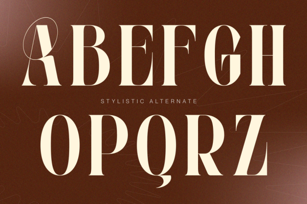 Velora Bloom - Font Duo Logo Branding - Image 12