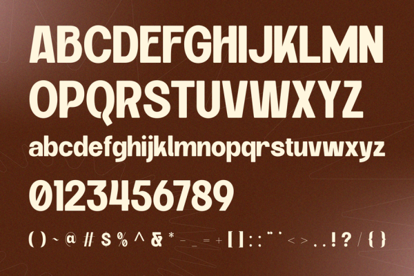 Velora Bloom - Font Duo Logo Branding - Image 8