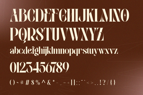 Velora Bloom - Font Duo Logo Branding - Image 9