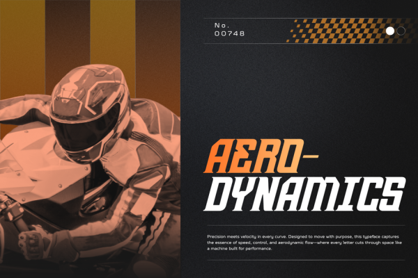 Sravex Sports - Modern Logo Font - Image 3